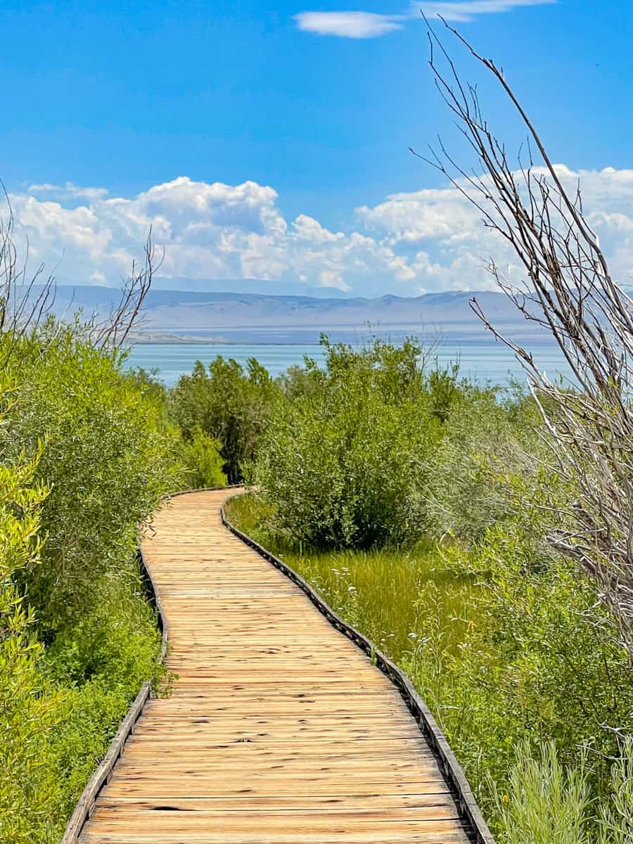 The Mono Lake Boardwalk Trail in Lee Vining, California