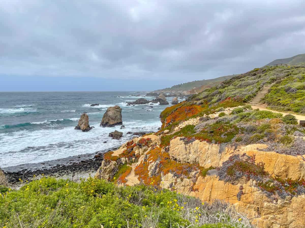 The Garrapata Bluff Trail is short but super scenic. 