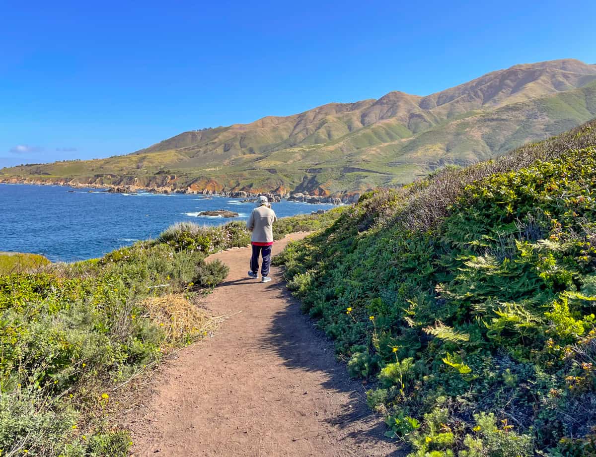 Soberanes Point Loop Trail in Garrapata State Park, CA