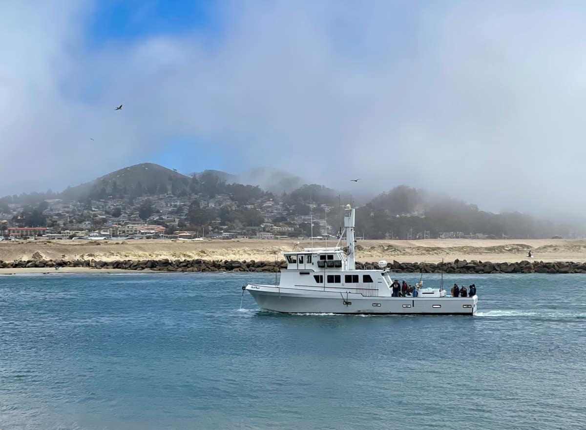 Morro Bay, CA