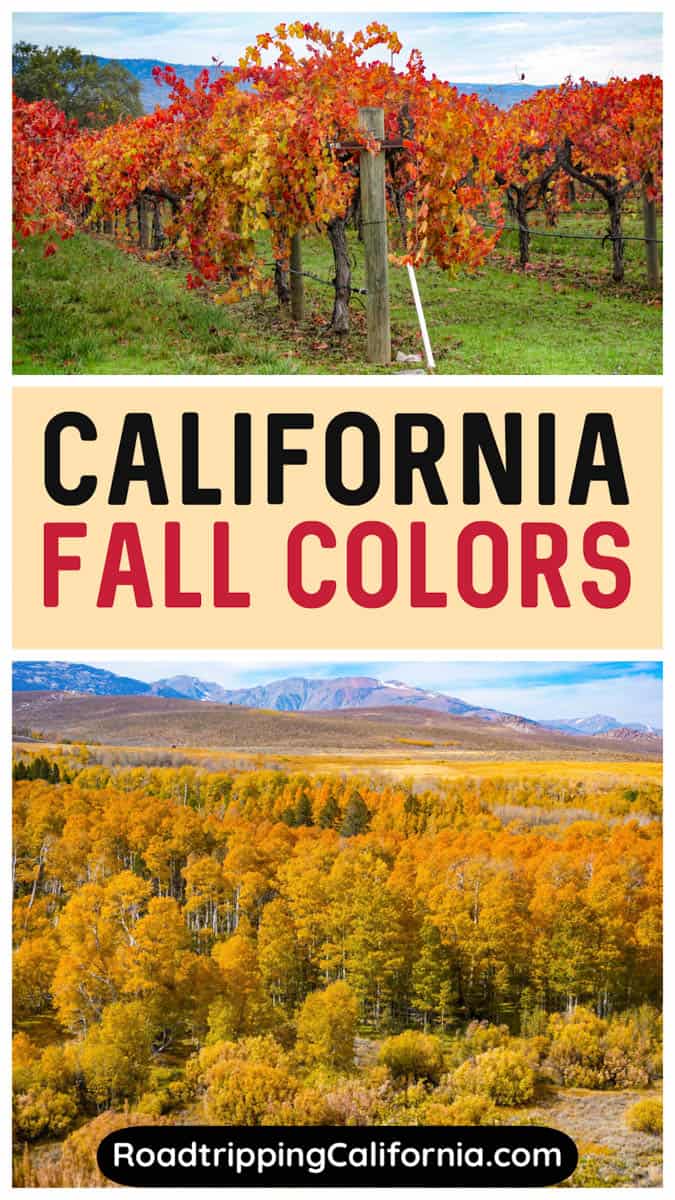Discover where to go for the best fall colors in California, from the Eastern Sierra to Napa Valley and more!