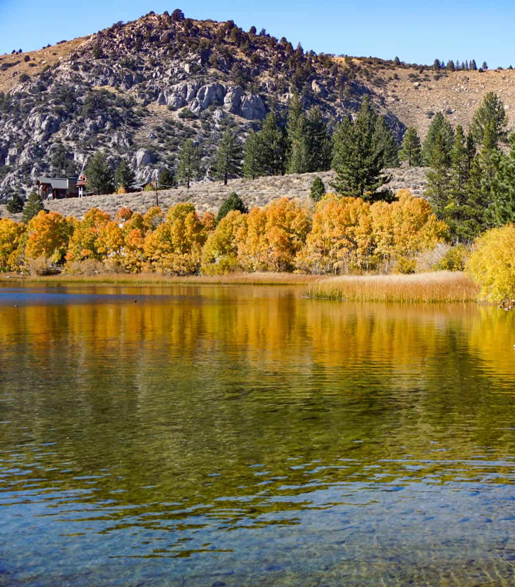Fall colors at Gull Lake along the June Lake Loop in California
