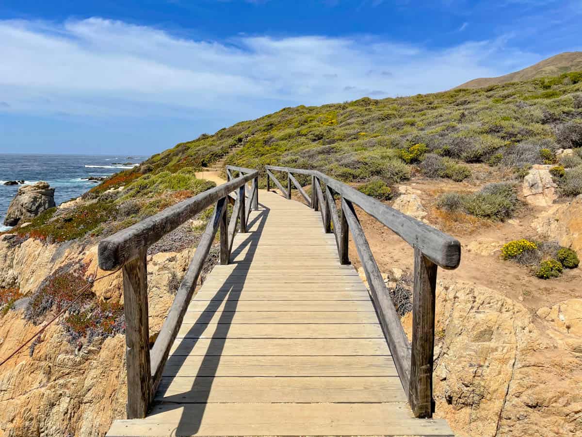 Garrapata Bluff Trail in Garrapata State Park, Big Sur, CA