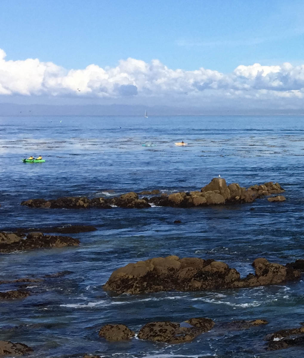 Kayakers in Monterey Bay, CA