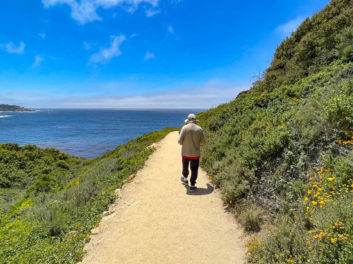 Hiking Point Lobos State Natural Reserve in Carmel, CA