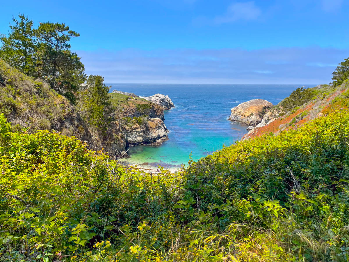 Point Lobos State Natural Reserve, Carmel, California
