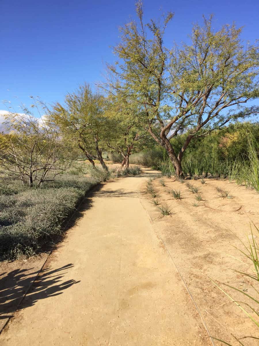 Walking Sunnyland Desert Garden in Rancho Mirage, CA