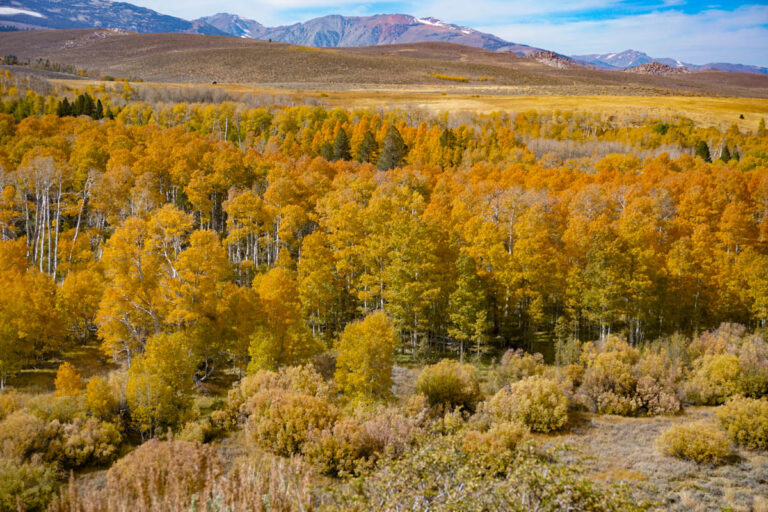 Conway Summit along Highway 395 in California